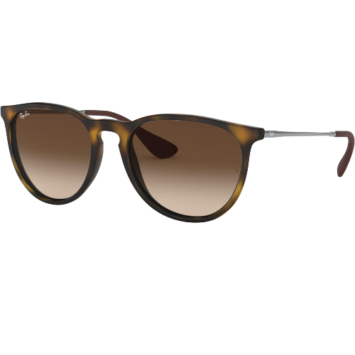 Ray-Ban Women-Men Panto Sunglasses