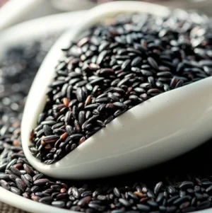 Karuppu Kavuni Rice or Black Rice: Exploring Its Unique Qualities Compared to Other Varieties